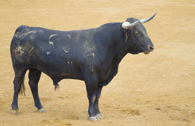 Huelva Wine Tour - Photo 1