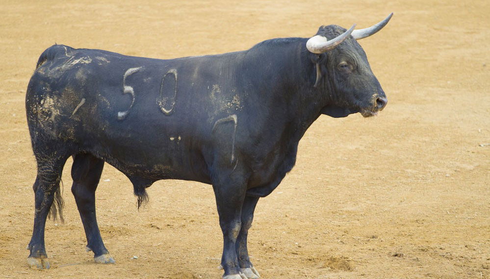 Ruta de toros y vino por el Condado de Huelva - Foto 1