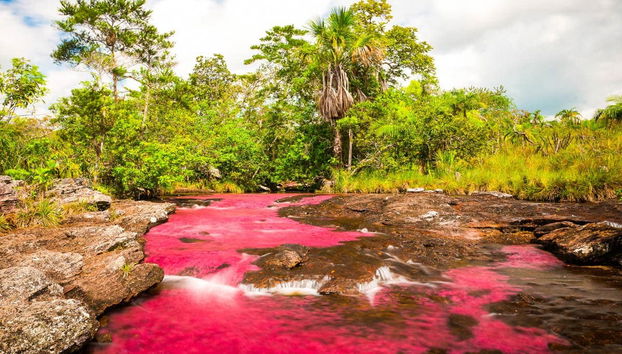 Caño Cristales Excursion - Foto 3