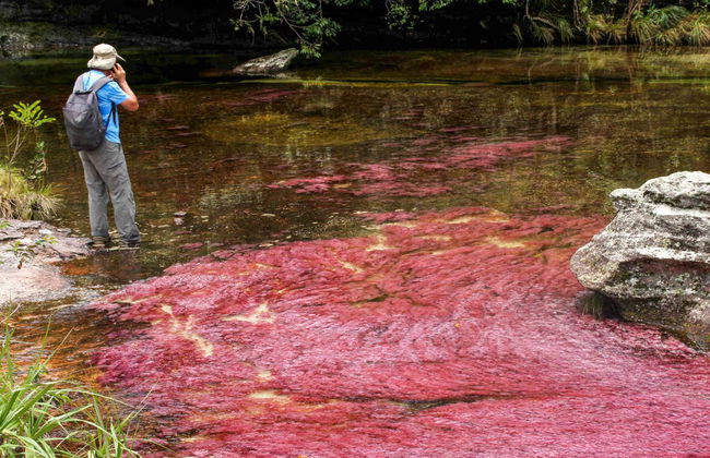 Caño Cristales Excursion - Foto 8