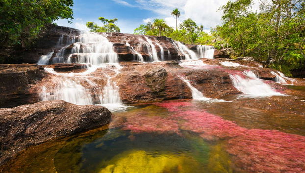 Caño Cristales Excursion - Foto 4