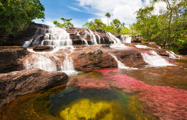 Caño Cristales Excursion - Foto 4