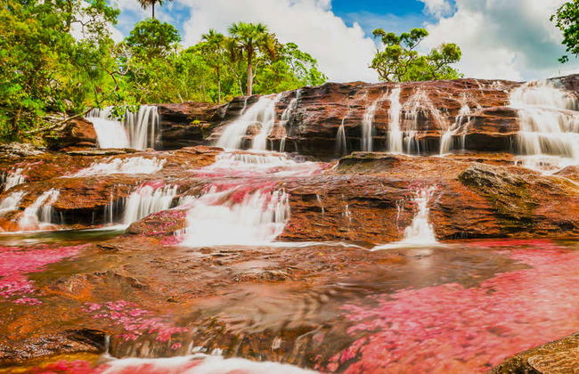 Excursión a Caño Cristales - Foto 3
