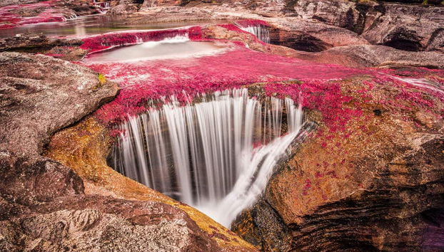 Caño Cristales Excursion - Foto 2