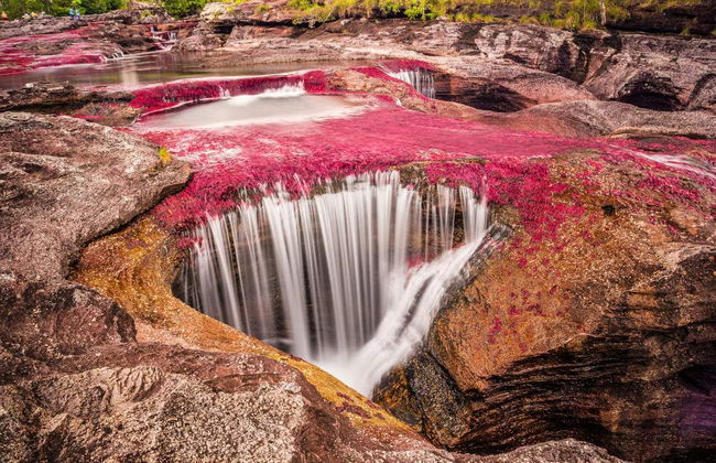Caño Cristales Excursion - Foto 2