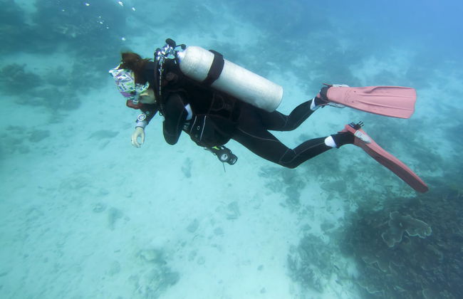 Buceo en los arrecifes de Bohol - Foto 4