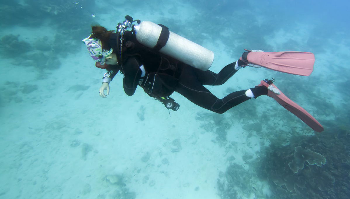 Bautismo de buceo en Bohol - Foto 1