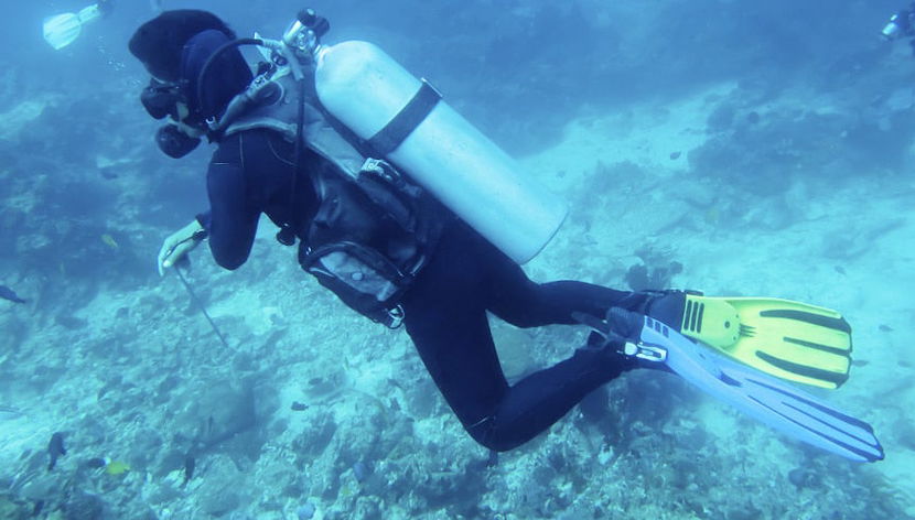 Bautismo de buceo en Bohol - Foto 3