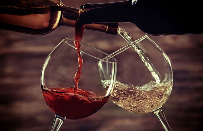 Vineyard Tour + Wine Tasting - Photo 6