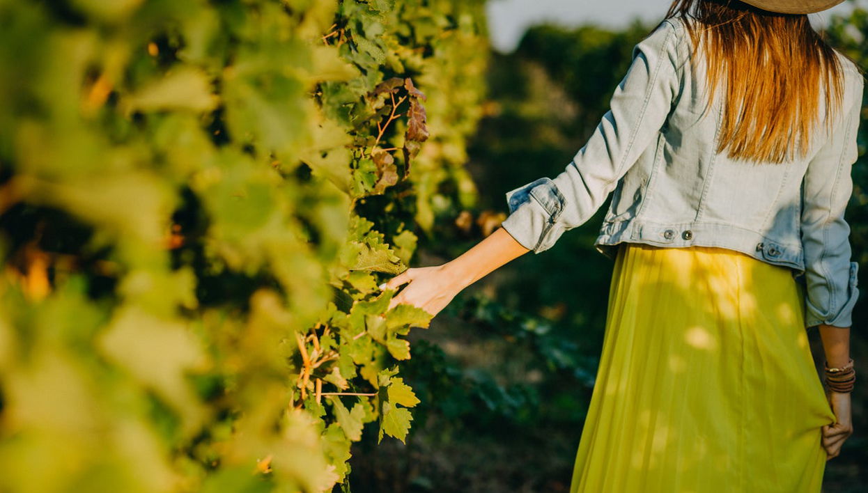 Visite à la découverte du vin dans Guanajuato - Photo 1