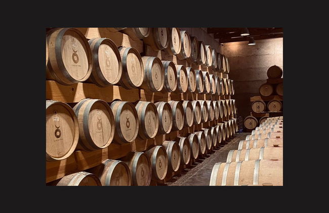 Wine Tour of Guanajuato - Foto 2