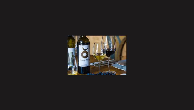 Visite à la découverte du vin dans Guanajuato - Photo 4