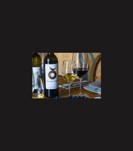 Foto de Tour del vino por Guanajuato