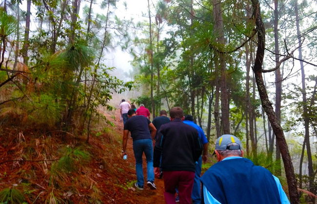 Senderismo por la Reserva Natural Monte Alto - Foto 5