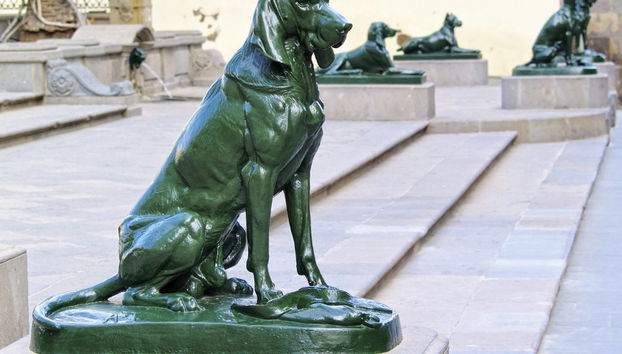 Visita guidata del quartiere di Vegueta - Foto 2