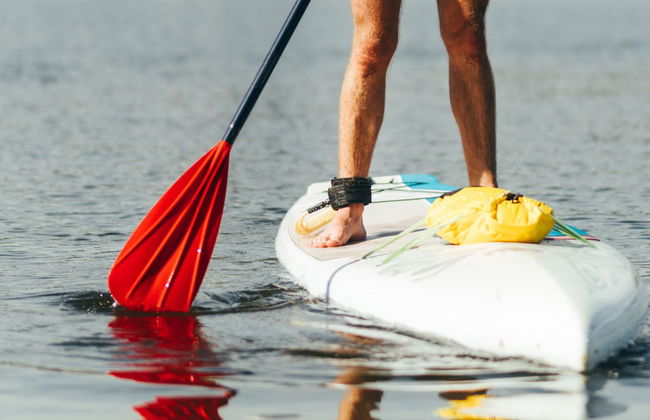 Fuerteventura Paddle Surf Hire - Photo 4
