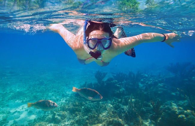 Lanzarote Snorkel Experience - Foto 1