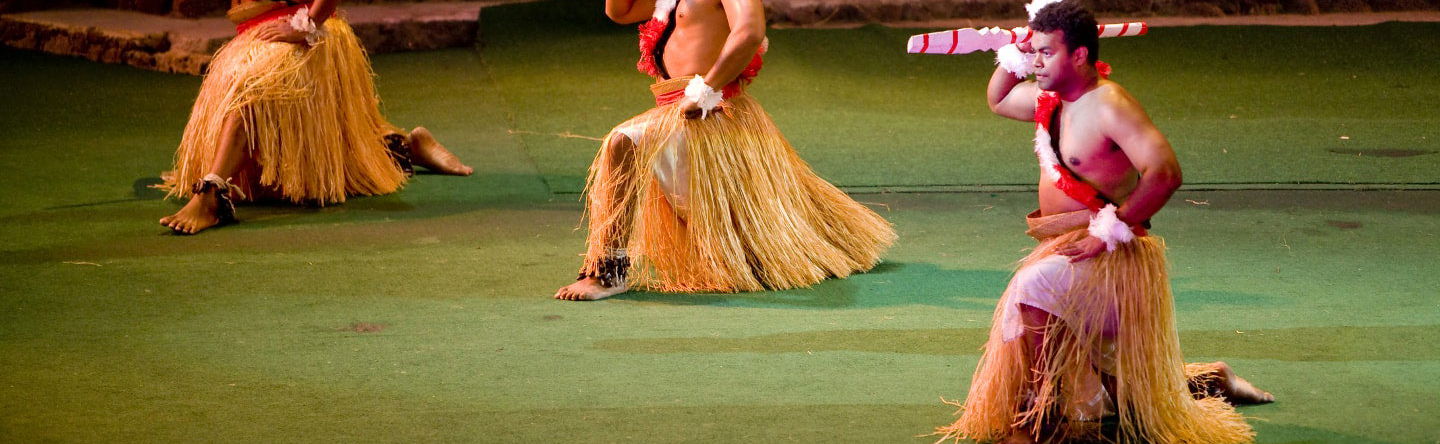 Dinner and Traditional Show - Foto 1