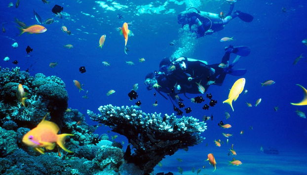 Rhodes Scuba Diving - Foto 5