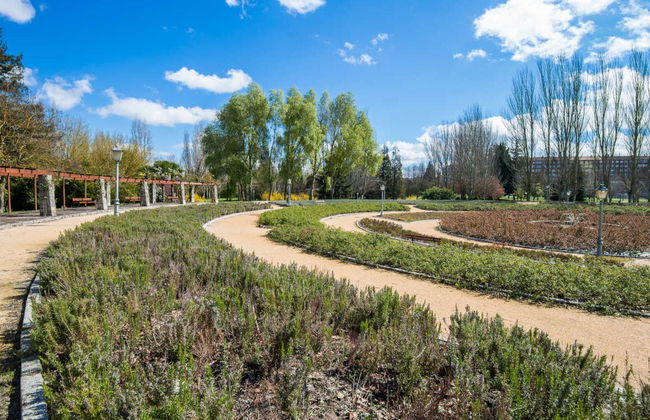 Tour en bicicleta por Vitoria - Photo 4