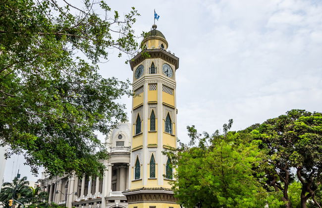 Guayaquil Private Tour - Foto 5