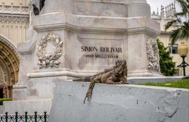 Guayaquil Private Tour - Foto 4