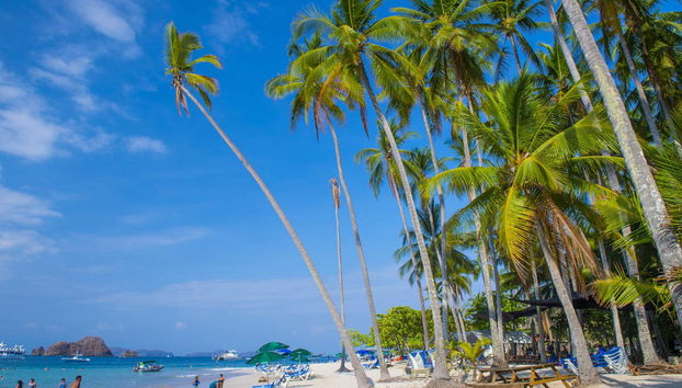 Tortuga Island Catamaran Day Trip - Photo 3