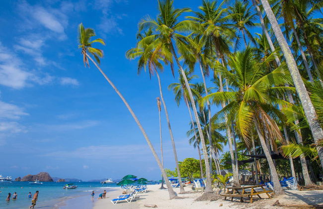 Tortuga Island Catamaran Day Trip - Foto 3