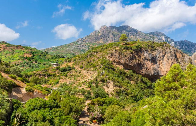 Excursión privada al Puente de Dios de Akchour - Foto 1