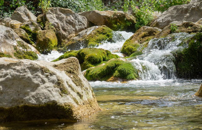 Excursión privada a las cascadas de Akchour - Foto 3