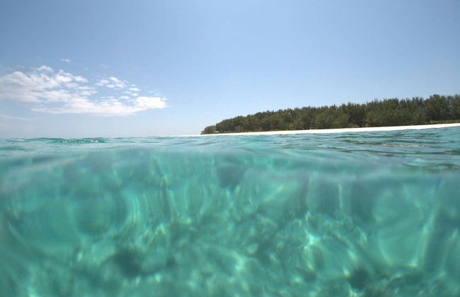 Snorkel en el Atolón Mnemba - Foto 1