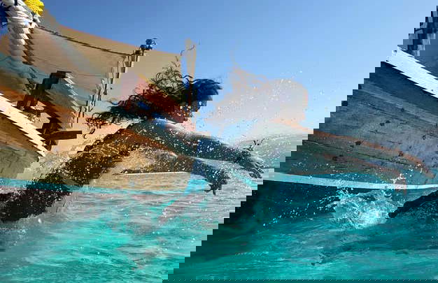 Snorkel en el Atolón Mnemba - Foto 5