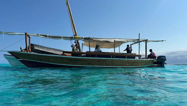 Snorkel en el Atolón Mnemba - Foto 3