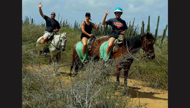 Horseback Riding in Northern Aruba - Photo 4