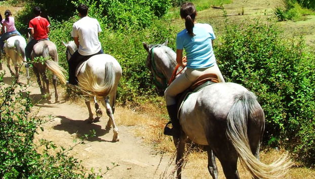 Horseback Riding in Northern Aruba - Photo 5
