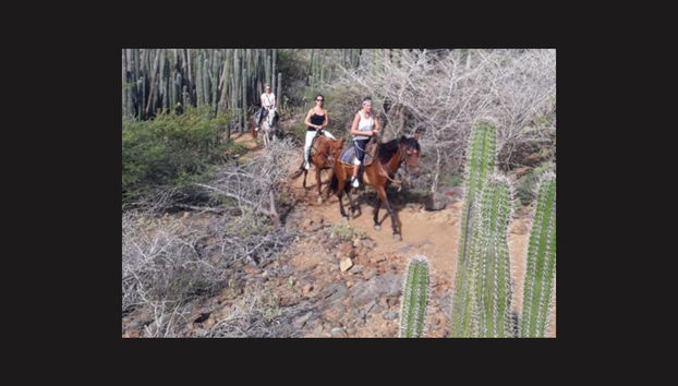 Horseback Riding in Northern Aruba - Photo 2