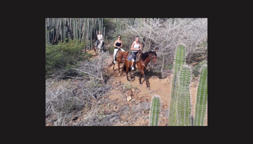 Balade à cheval dans le nord d'Aruba - Photo 2
