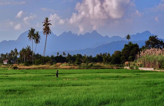 Visite privée de Langkawi - Photo 1