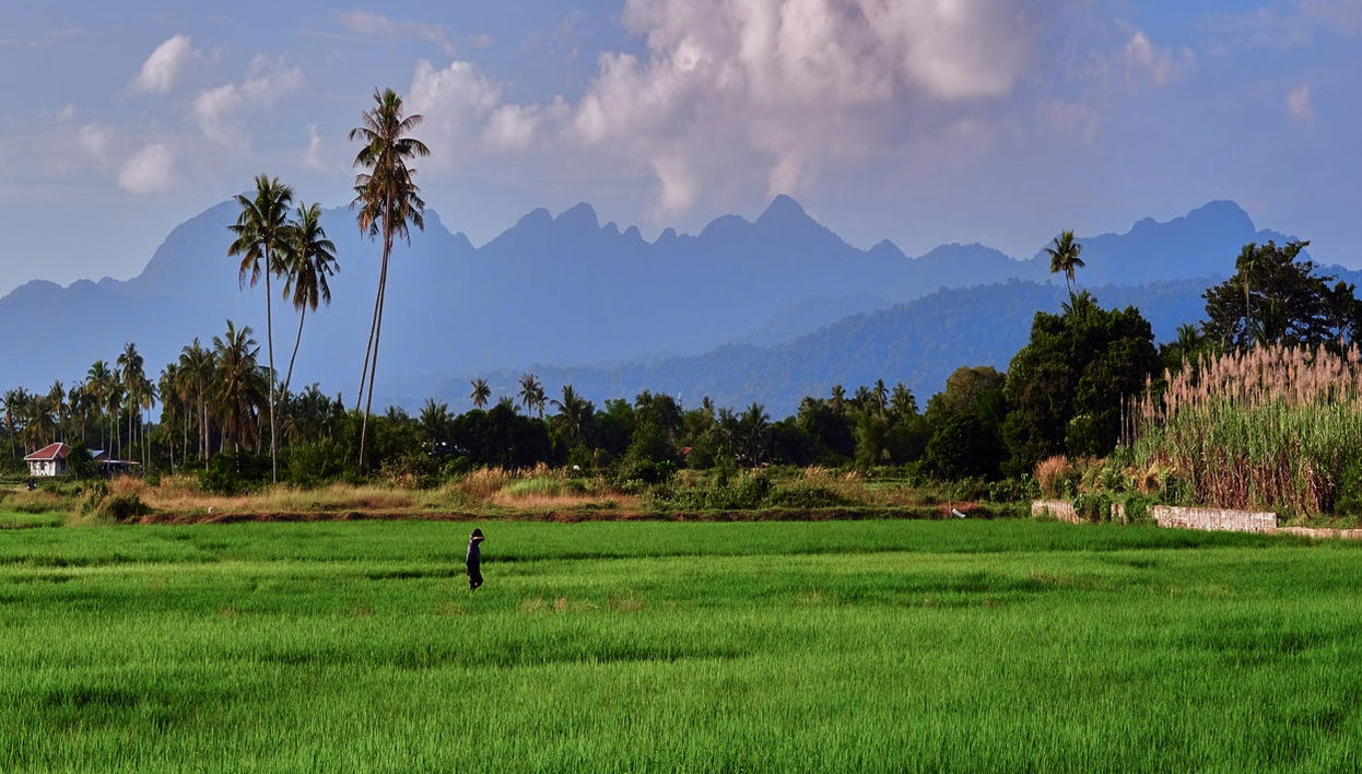 Langkawi Private Tour - Photo 1