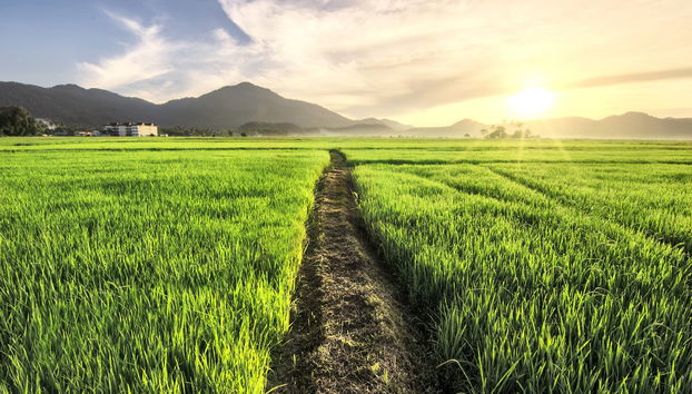 Langkawi Private Tour - Photo 3