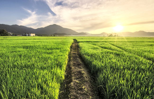 Visite privée de Langkawi - Photo 3