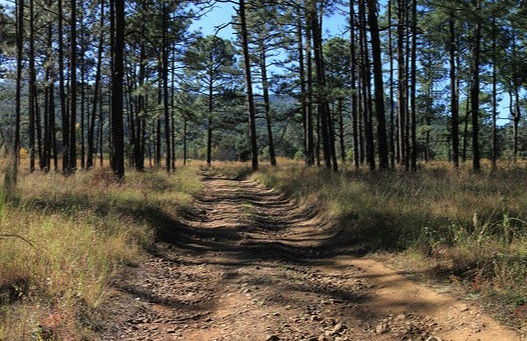 Excursión de 2 días a Yécora - Foto 6
