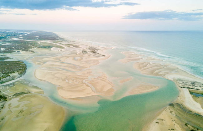 Avistamiento de aves en la Ría Formosa - Foto 5