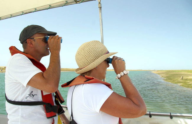 Avistamiento de aves en la Ría Formosa - Foto 3