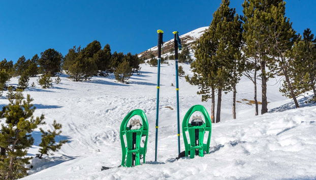 Passeggiata con racchette da neve a Grandvalira - Foto 2