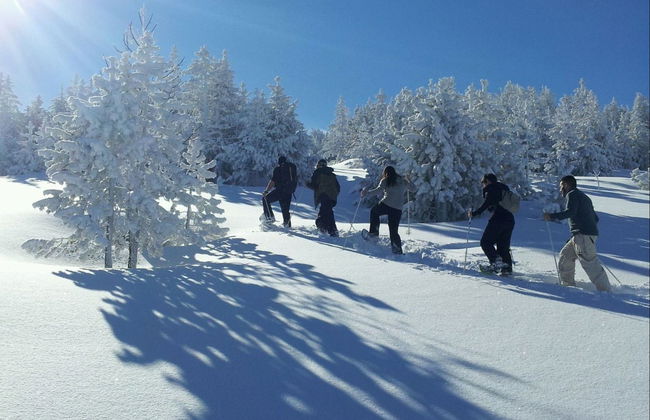 Paseo con raquetas de nieve por Grandvalira - Foto 3