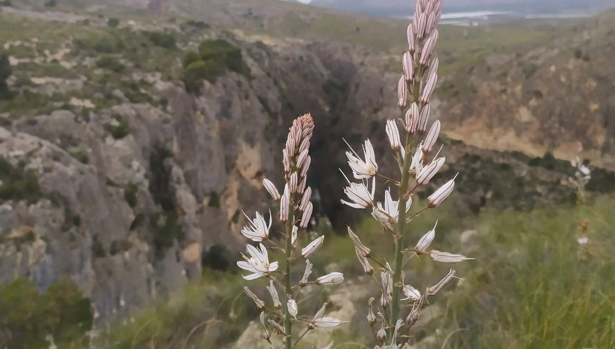 Almadenes Gorge Hiking Activity - Photo 1