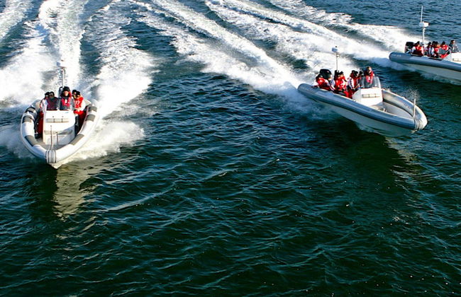 Stockholm Speed Boat Tour - Foto 6