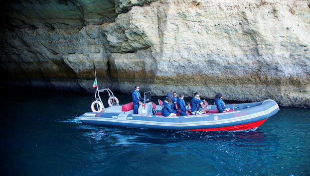 Dolphin Watching in Albufeira - Photo 2