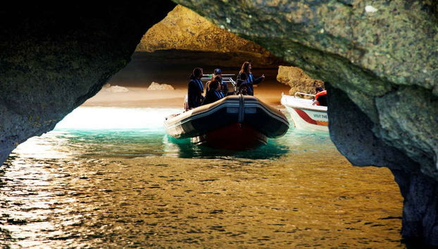 Dolphin Watching in Albufeira - Photo 4